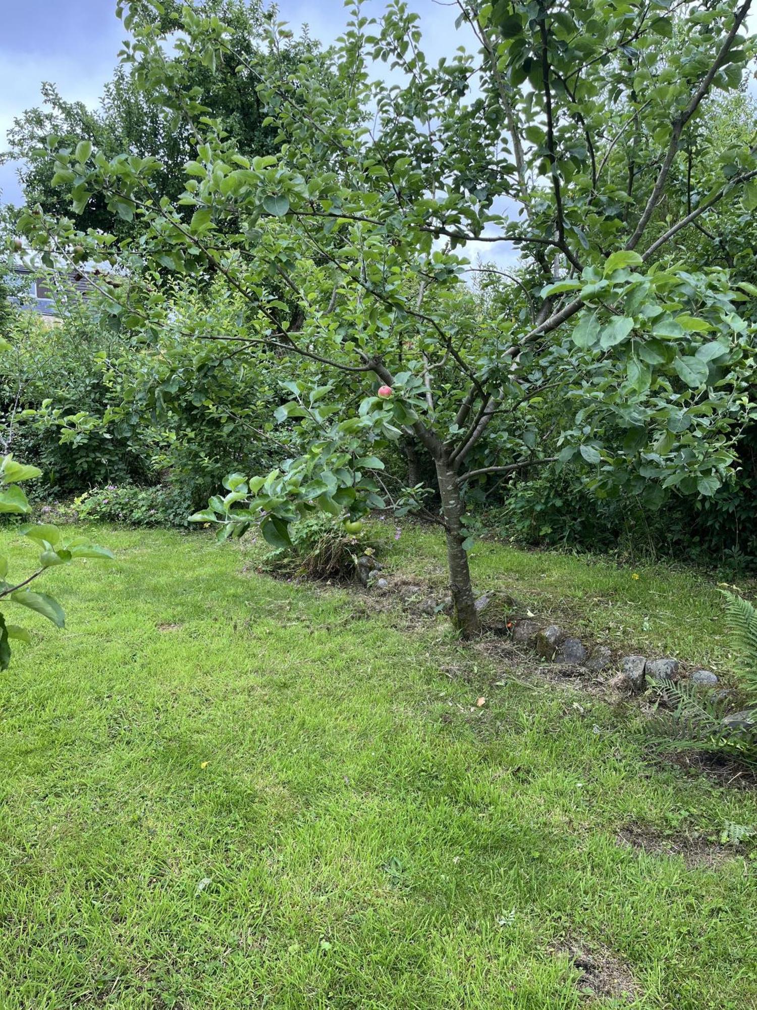 Apple Cottage Newton Stewart Esterno foto